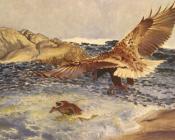 布鲁诺 利耶夫什 : A Sea Eagle Chasing Eider Duck